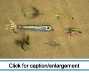 A sampling of handmade flies used by anglers in the St. John Valley for catching salmon and trout, created by Alvin Theriault, a native of Eagle Lake now living in Patten.