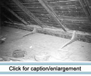 Interior of the attic (grenier) of Vital Violette House, showing two “ship’s knees,” each drifted into the hewn top plate and ceiling joist. Note the hand-squared rafters. 